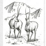 کیسه خواب دونفره نیچرهایک مدل NH21MSD06